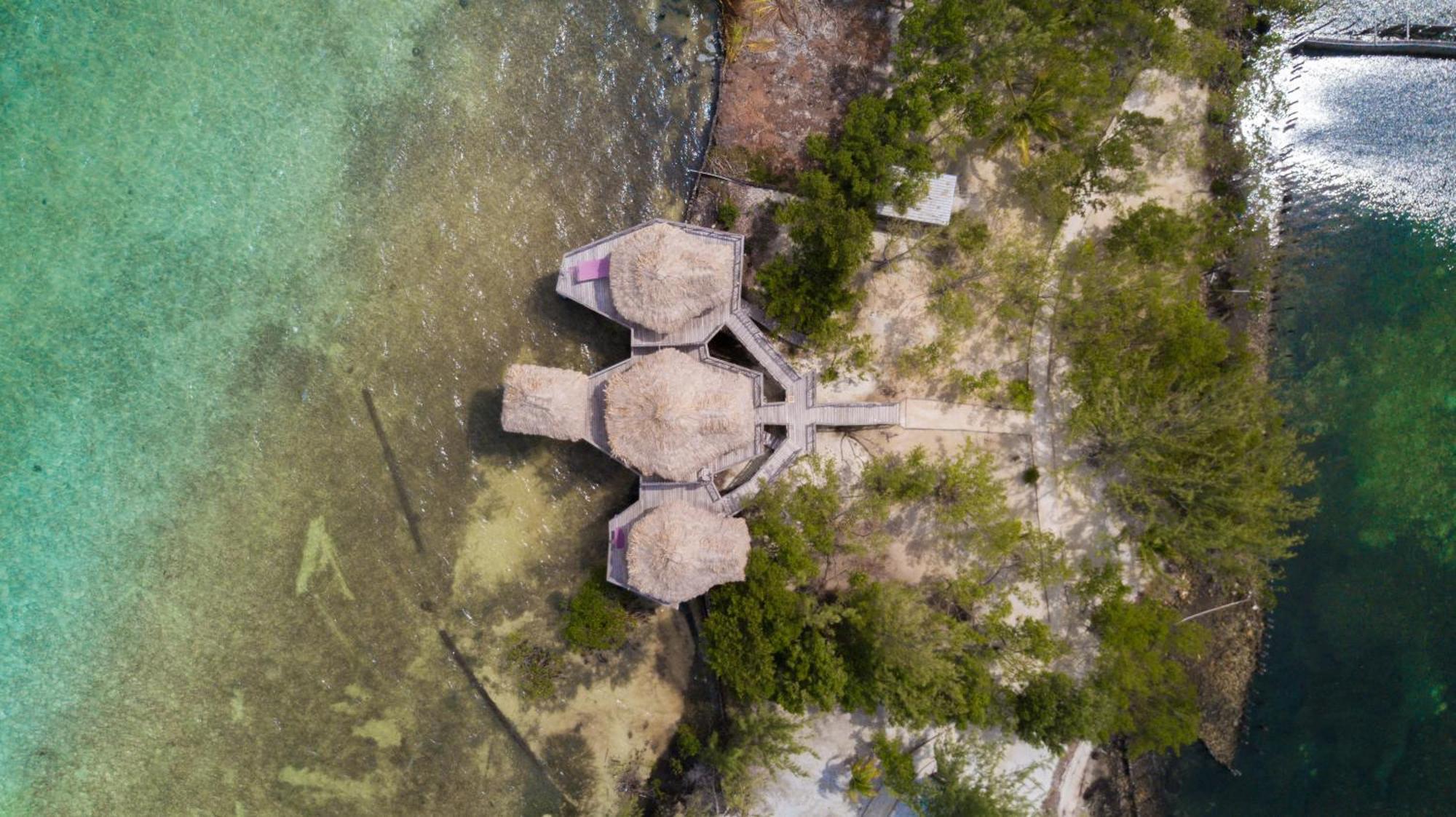 Thatch Caye Resort A Muy'Ono Resort Hopkins Phòng bức ảnh