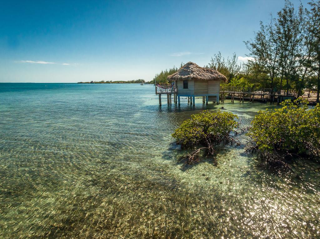 Thatch Caye Resort A Muy'Ono Resort Hopkins Ngoại thất bức ảnh