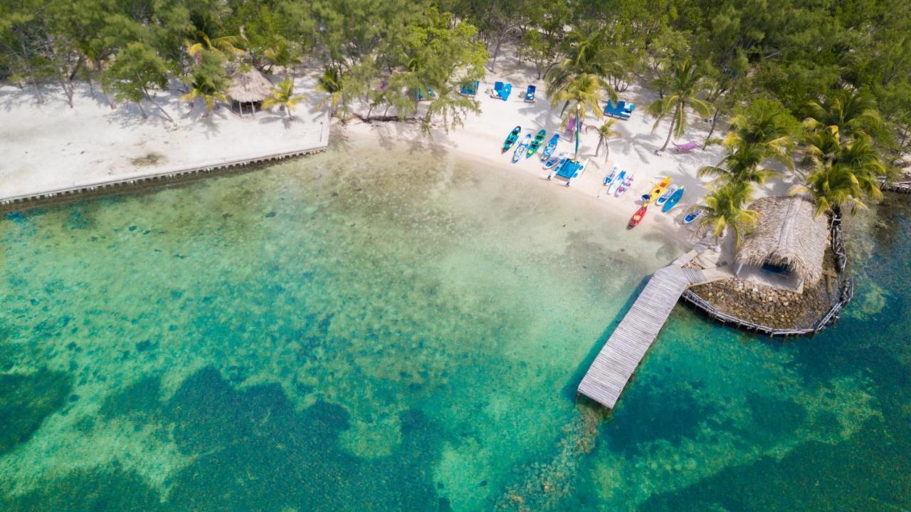 Thatch Caye Resort A Muy'Ono Resort Hopkins Ngoại thất bức ảnh